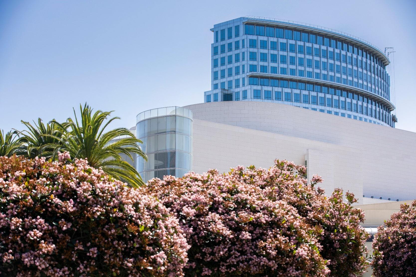 Flowering bushes in front of Costa Mesa, California urban real estate